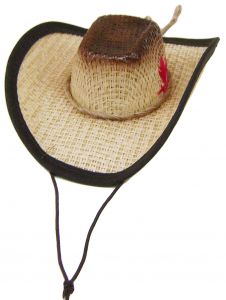 Modestone Straw Dog Cat Pet Hat Elastic String Feather Brown