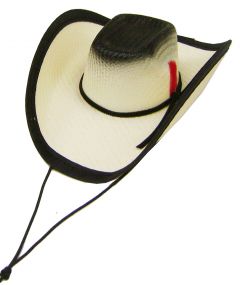 Modestone Straw Dog Cat Pet Hat Elastic String Feather Black